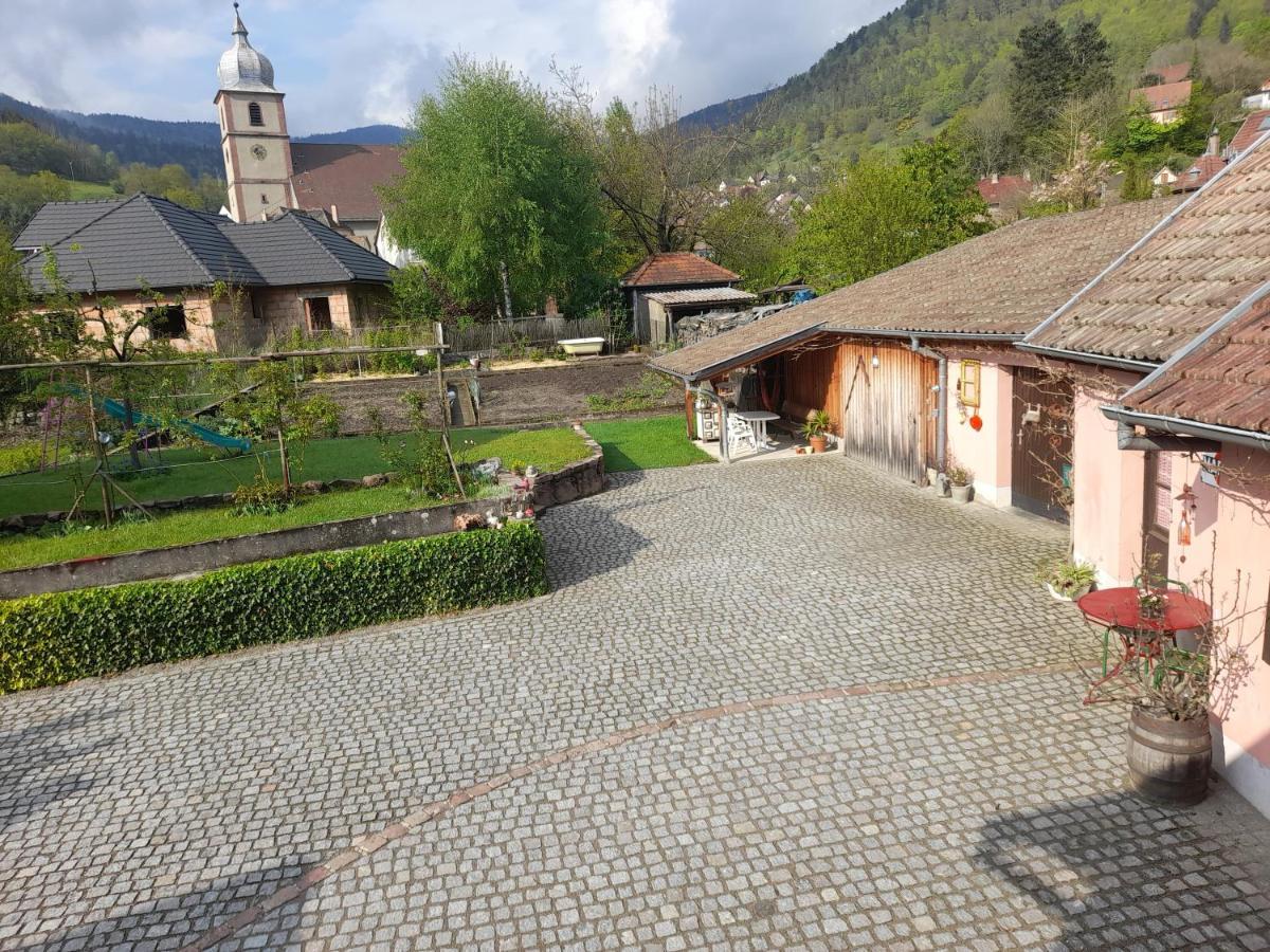 Charmant Petit Appartement Avec Bel Exterieur. Saint-Amarin Exteriör bild